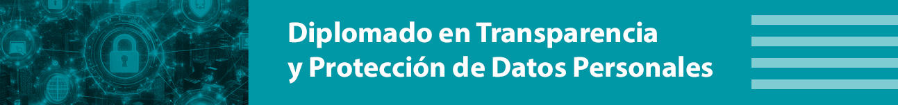 Ingresa al micrositio del Diplomado en Transparencia y Protección de Datos Personales en otra pestaña.